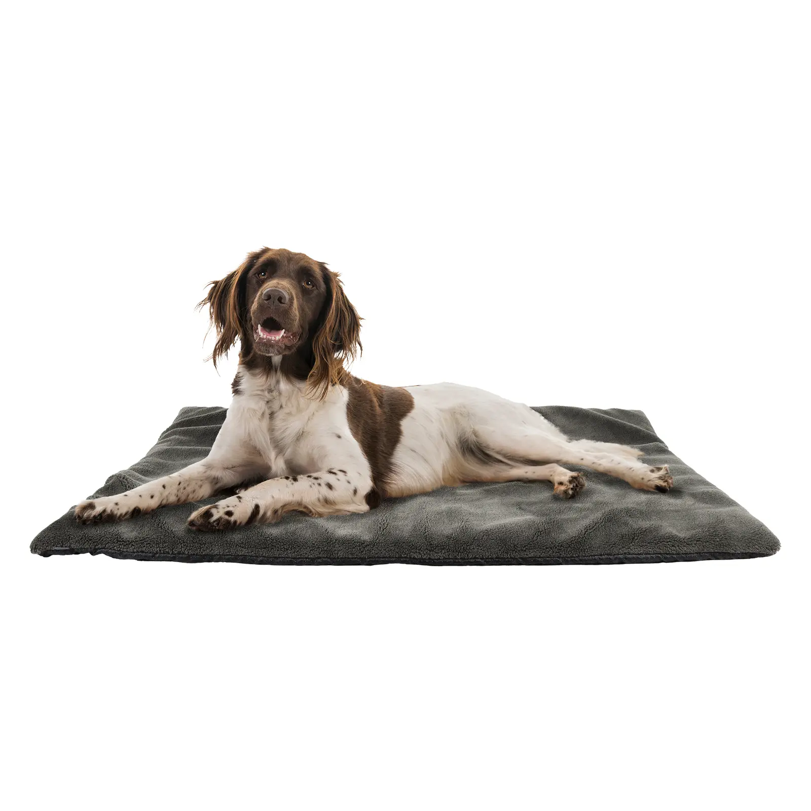 Lit pour chien thermique Akah