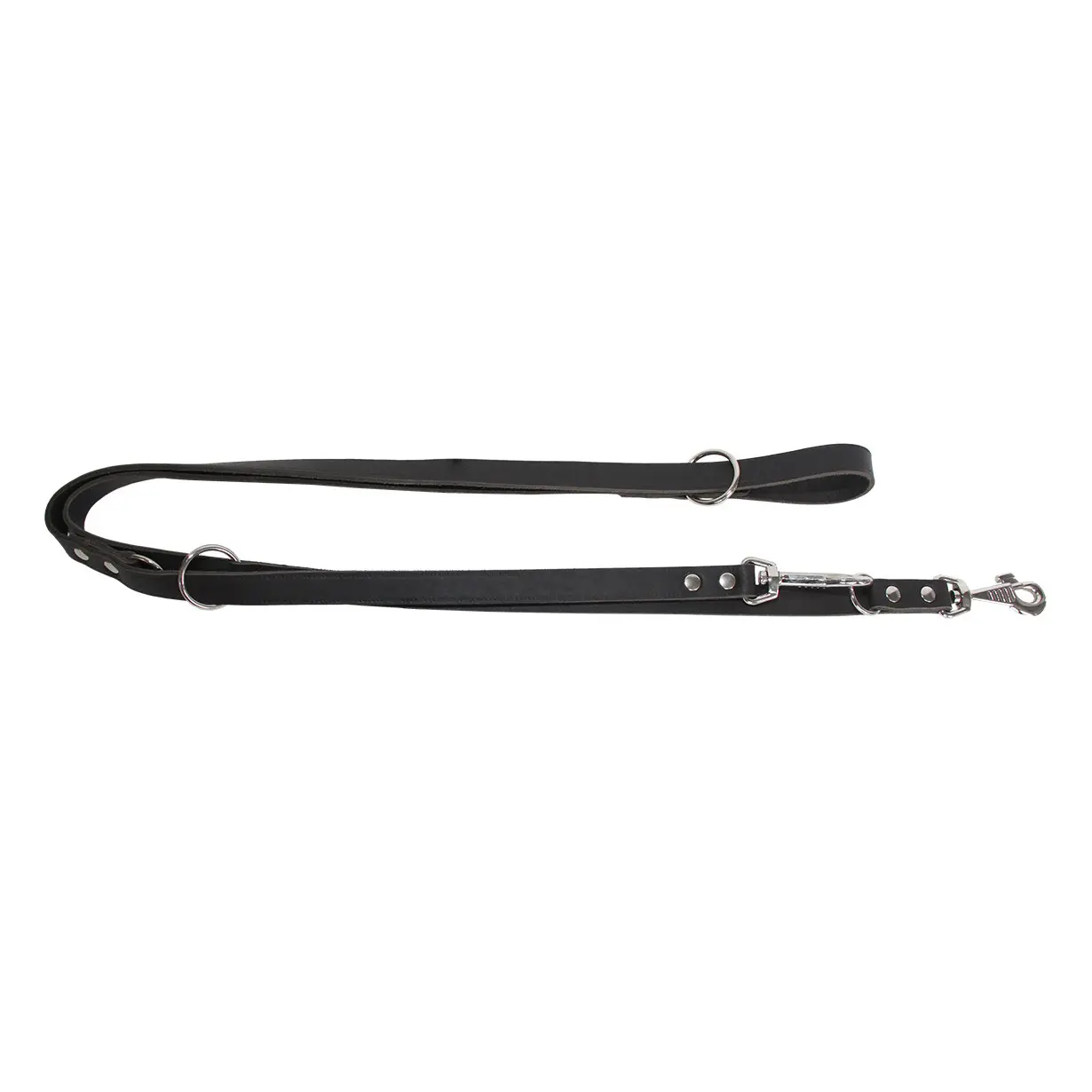 Laisse pour chien type police Akah