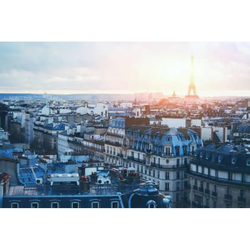 3667232500752 - Puzzle mit 1000 Teilen Vue Sur Paris