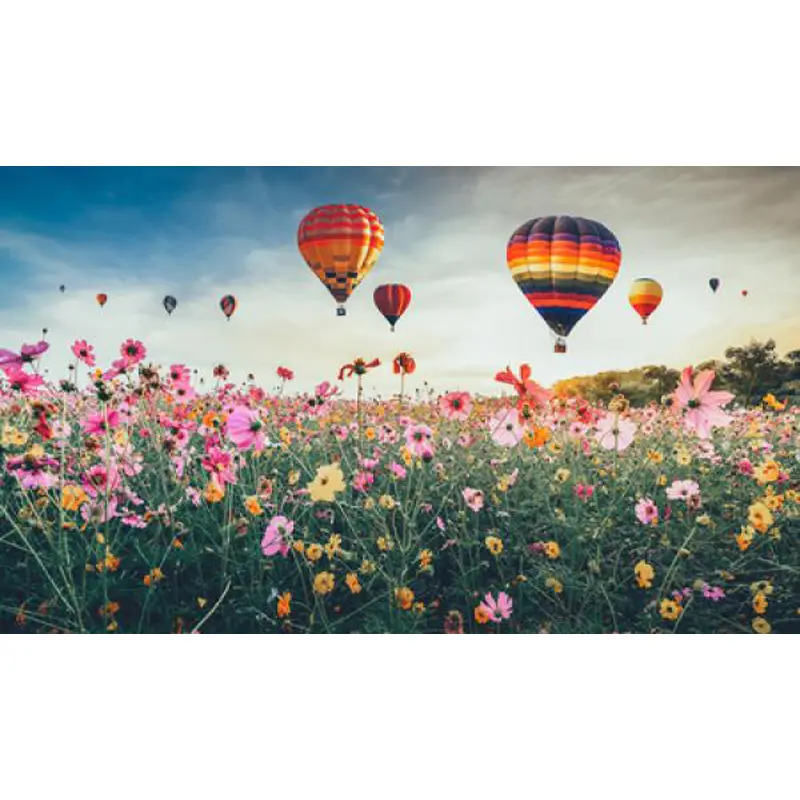 3667232500820 - Puzzle mit 1000 Teilen Champ Montgolfiere