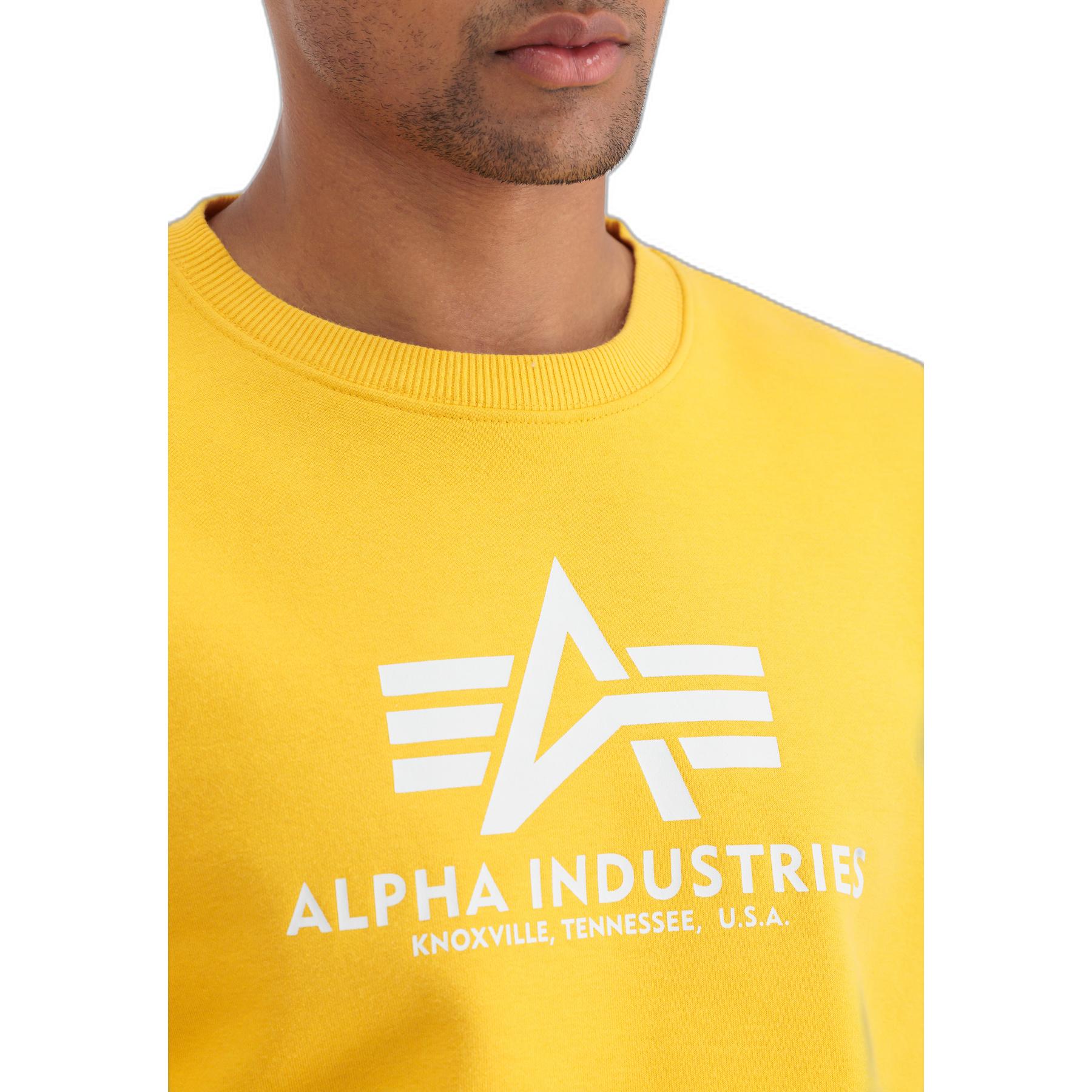 product/a/l/alpha-industries_100501-670-alpha-industries-basic-t-004.jpg
