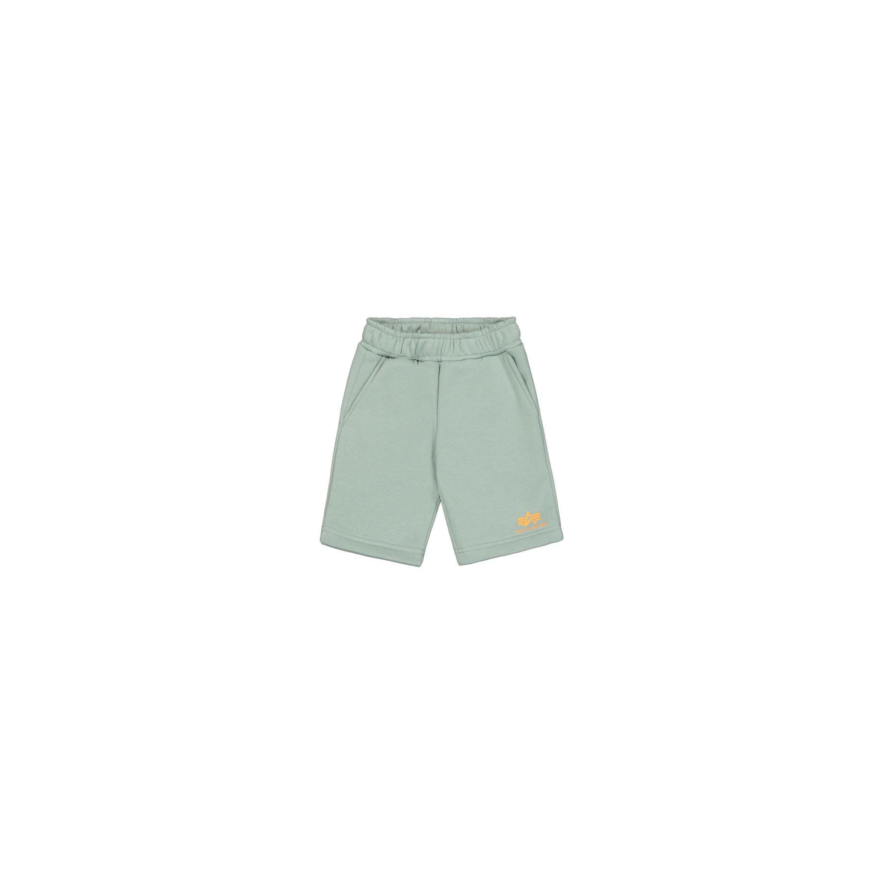 4059146918959 - Shorts für Kinder Alpha Industries Small