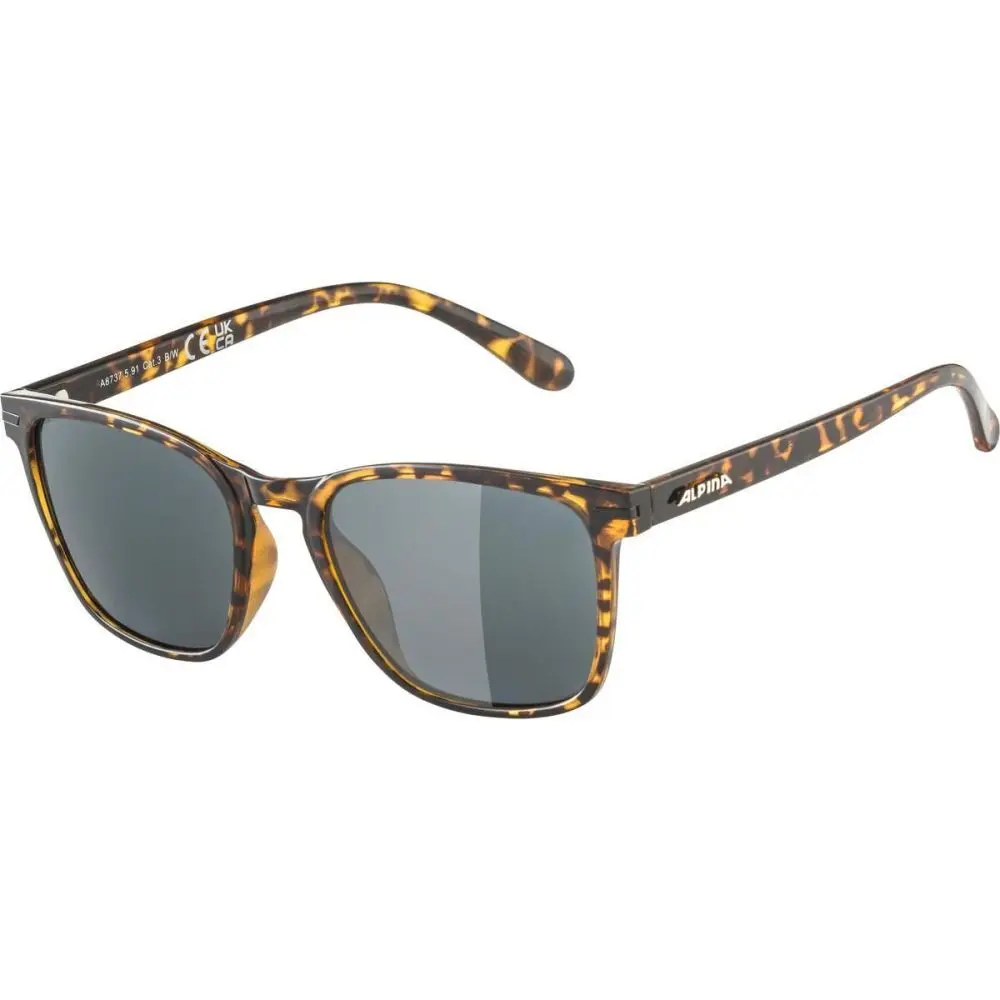 Sunglasses Alpina Yefe P
