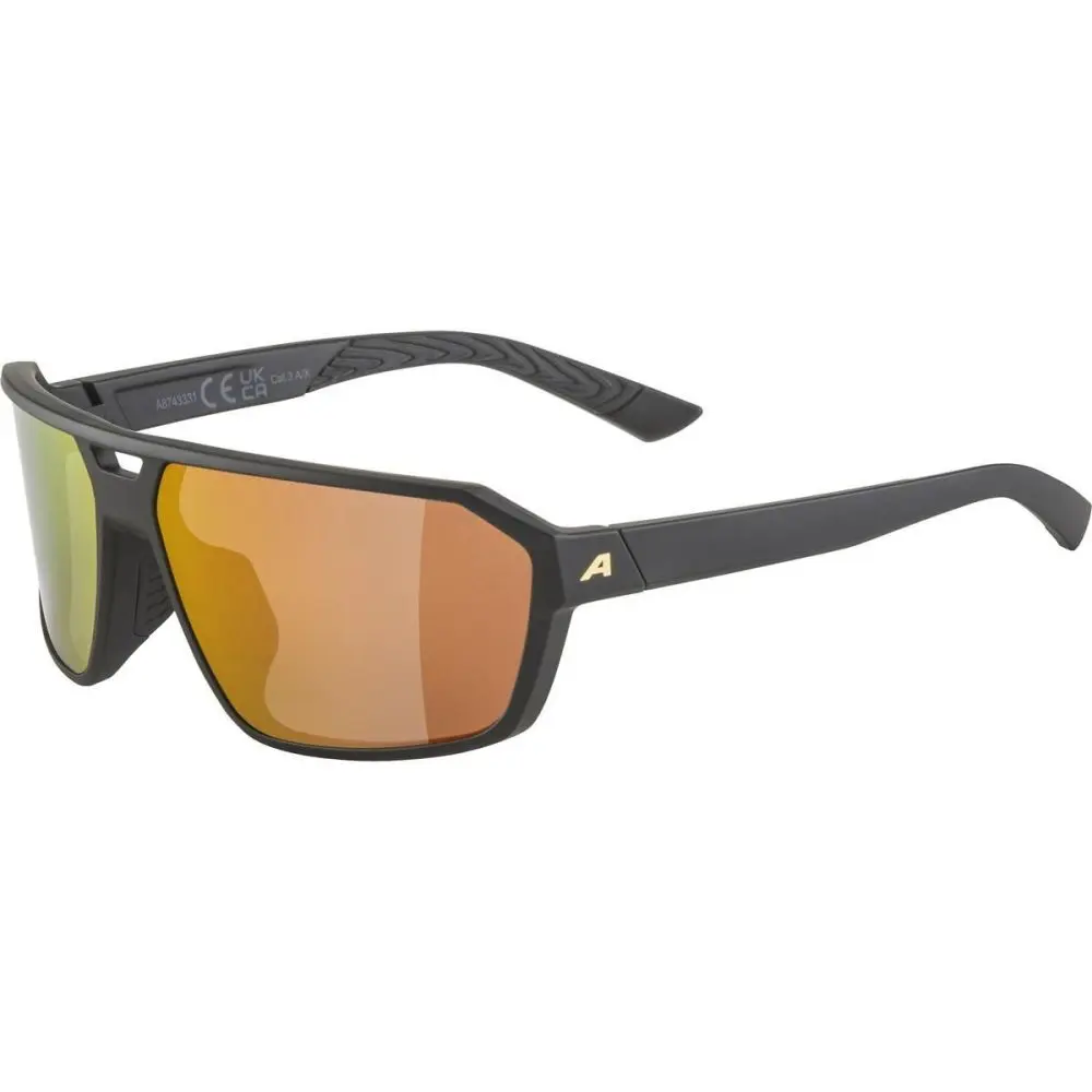 Sunglasses Alpina SWIFT