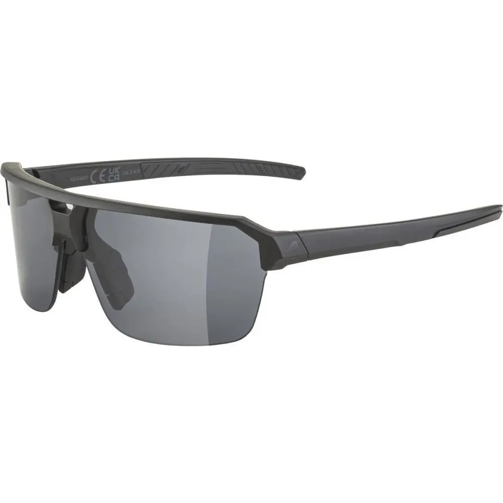 Sunglasses Alpina SWIFT HR