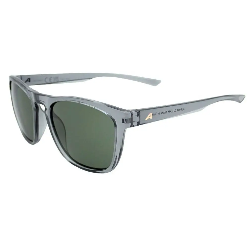 Sunglasses Alpina Gleam
