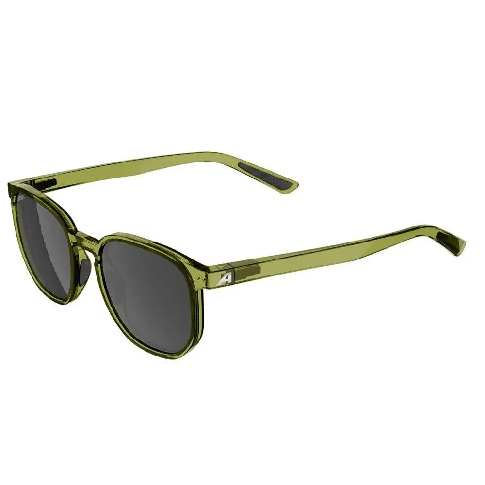 Sunglasses Alpina Dimont