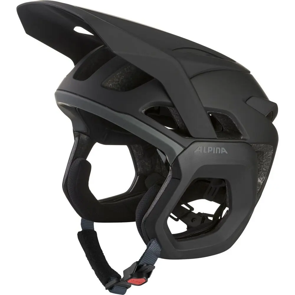 Helm Alpina Root