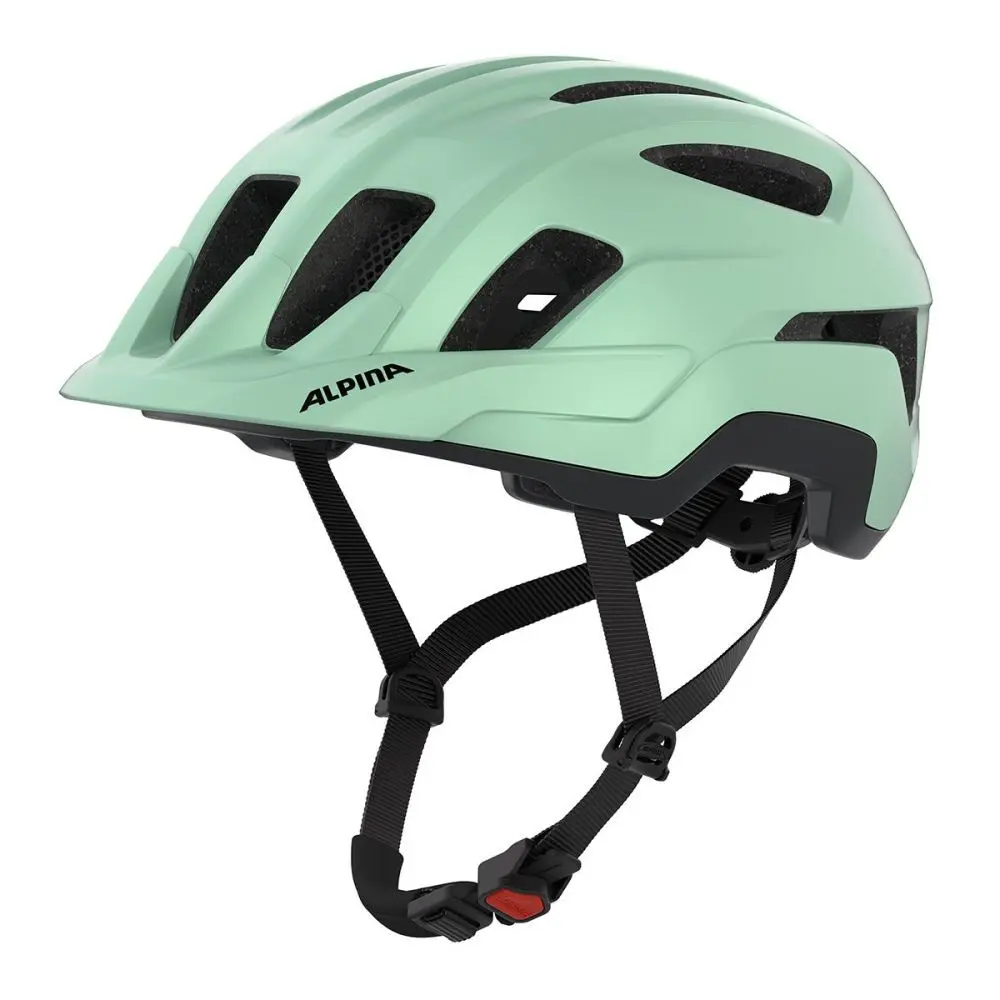 Helm Alpina Paranus