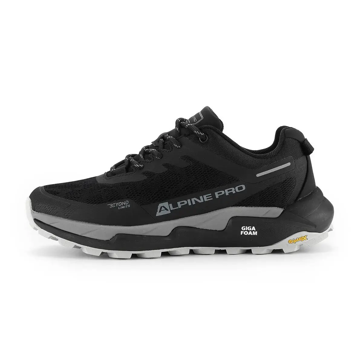 Wanderschuhe Alpine Pro Quede 3