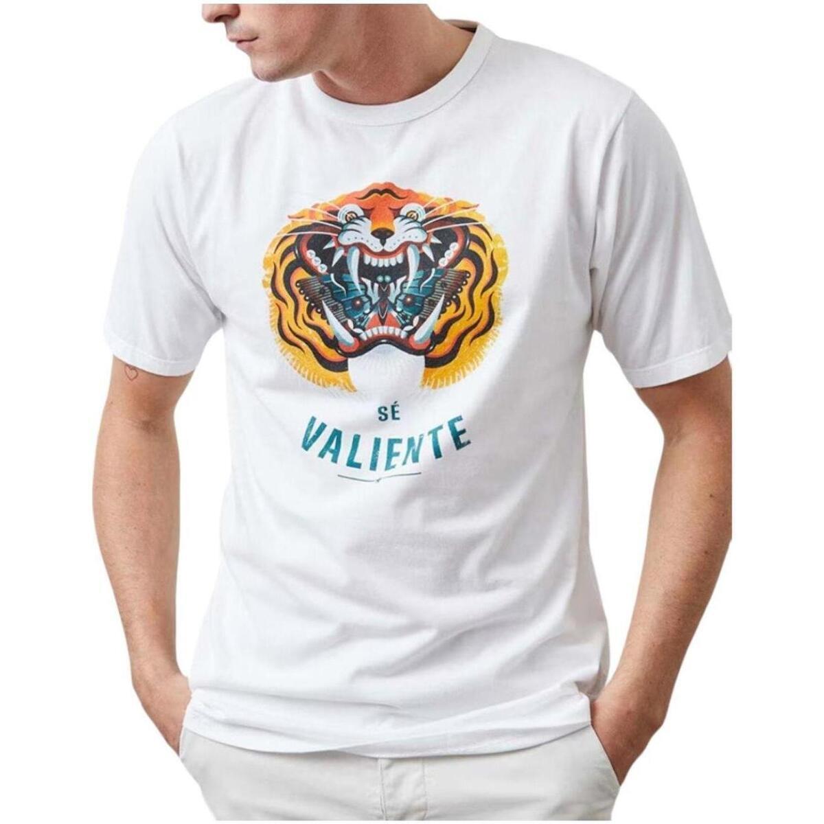 8434627289036 - T-Shirt Altonadock