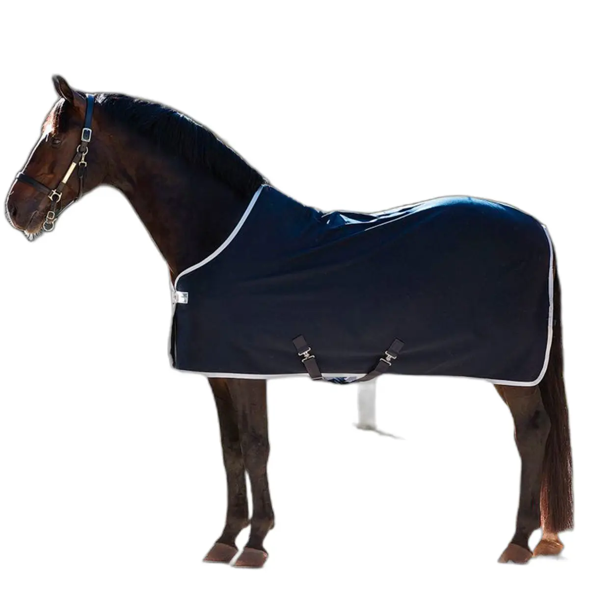 Comparer les prix de Couverture séchante pour cheval Amigo