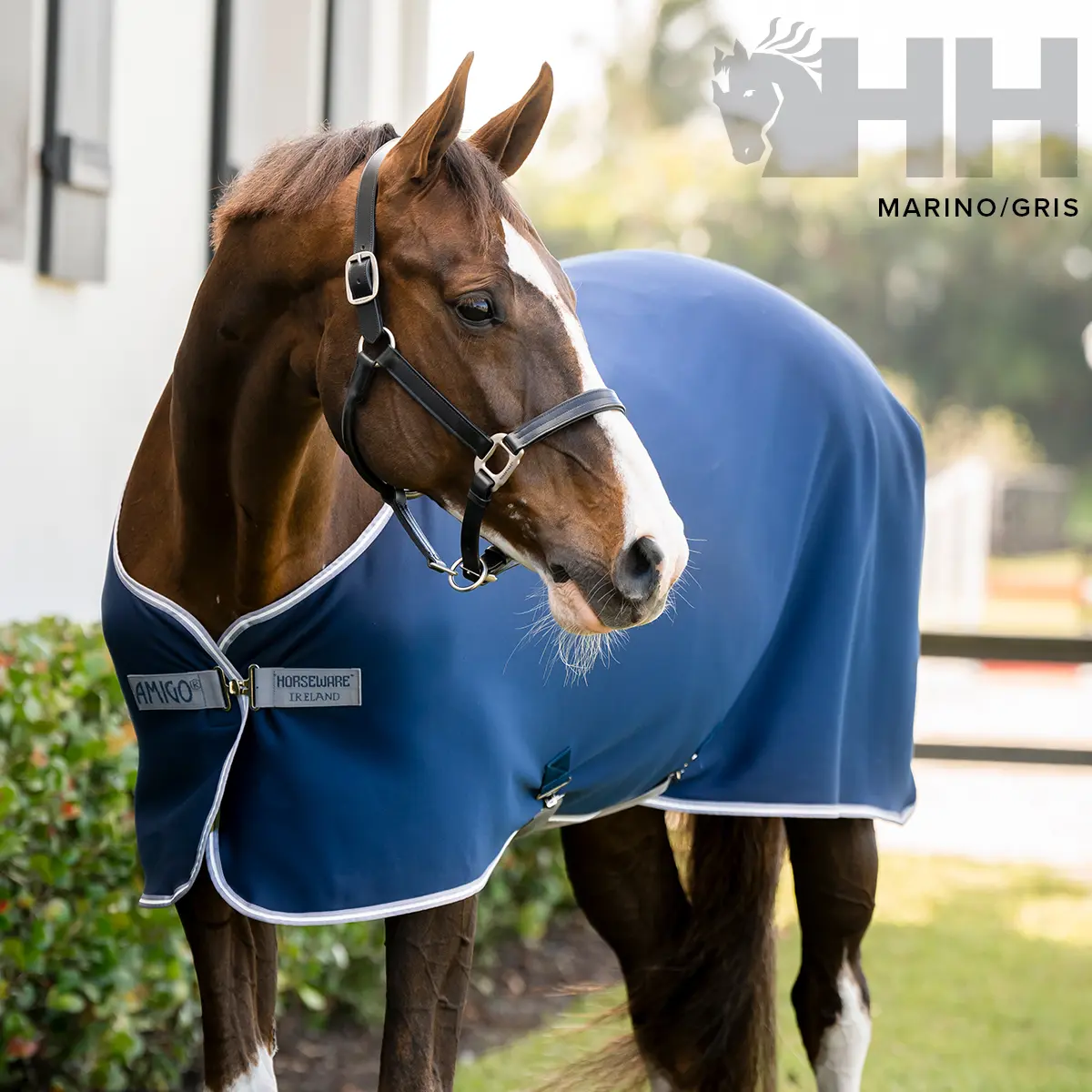 Comparer les prix de Chemise séchante pour cheval Amigo