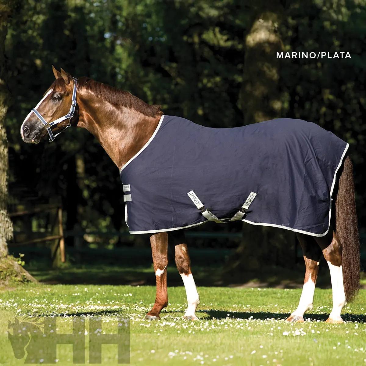 Meilleurs prix pour Couverture anti-insecte/été pour cheval Amigo