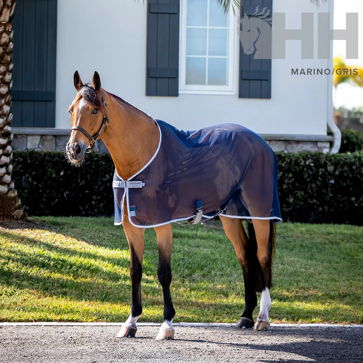 Meilleurs prix pour Chemise séchante en filet pour cheval Amigo