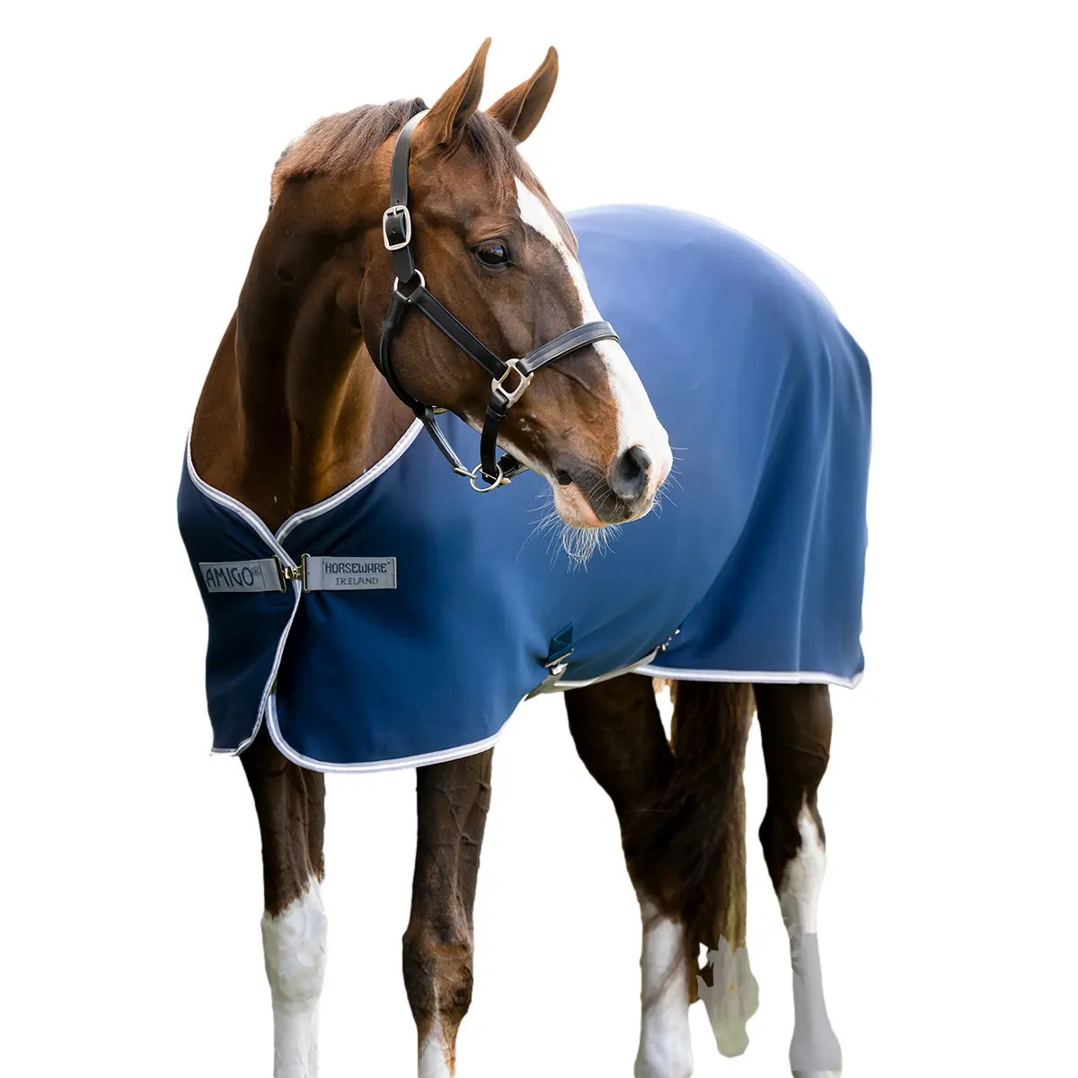 Meilleurs prix pour Couverture séchante pour poney Amigo Jersey Cooler