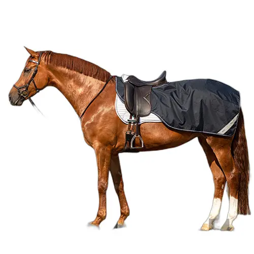 Meilleurs prix pour Couvre-reins pour cheval en polaire imperméable Amigo