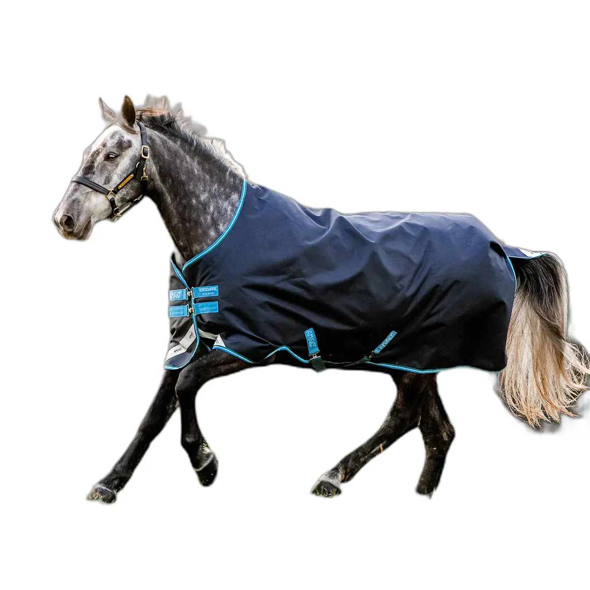 Comparer les prix de Couverture d'extérieur pour cheval Amigo Bravo 12 Original 50g