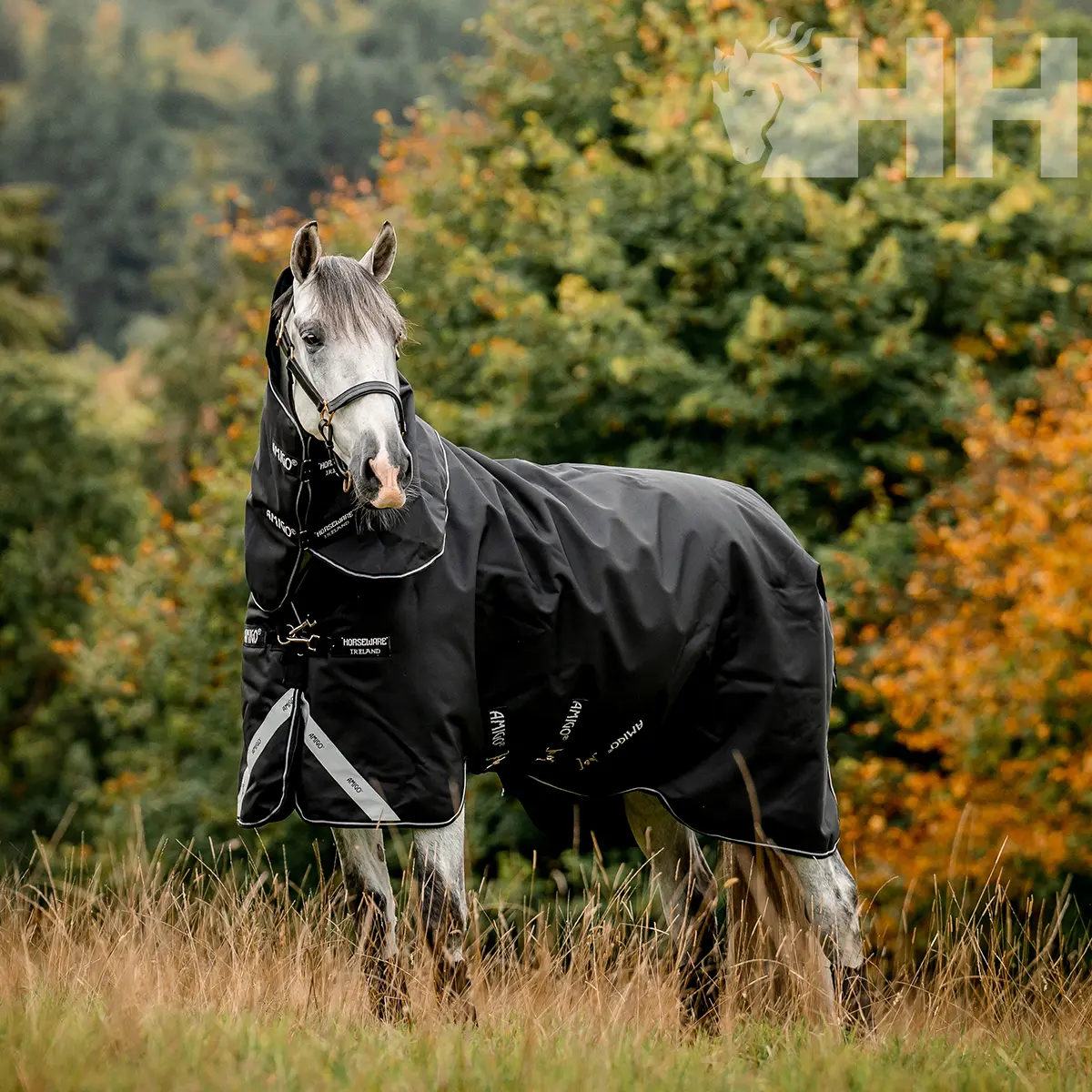 Meilleurs prix pour Couverture d'extérieur avec couvre-cou pour cheval Amigo Super Bravo Plus 250g