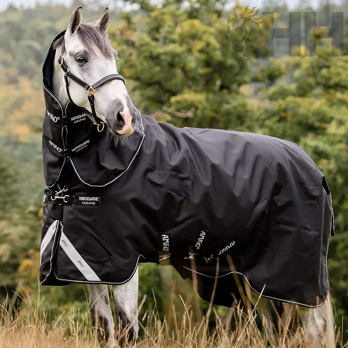 Couverture d'extérieur avec couvre-cou pour cheval Amigo Super Bravo Plus 250g
