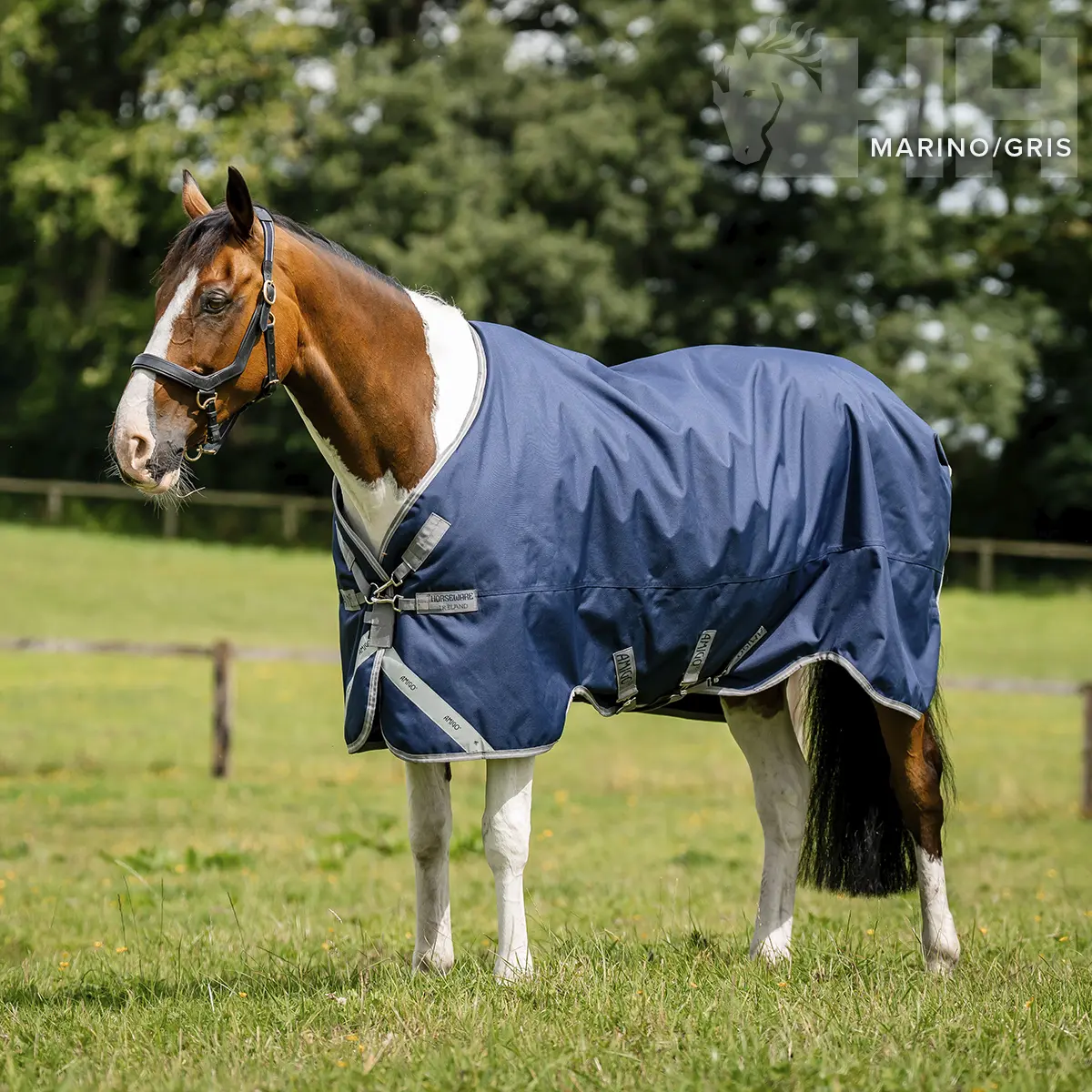 Couverture d'extérieur imperméable pour cheval Amigo Medium 250g