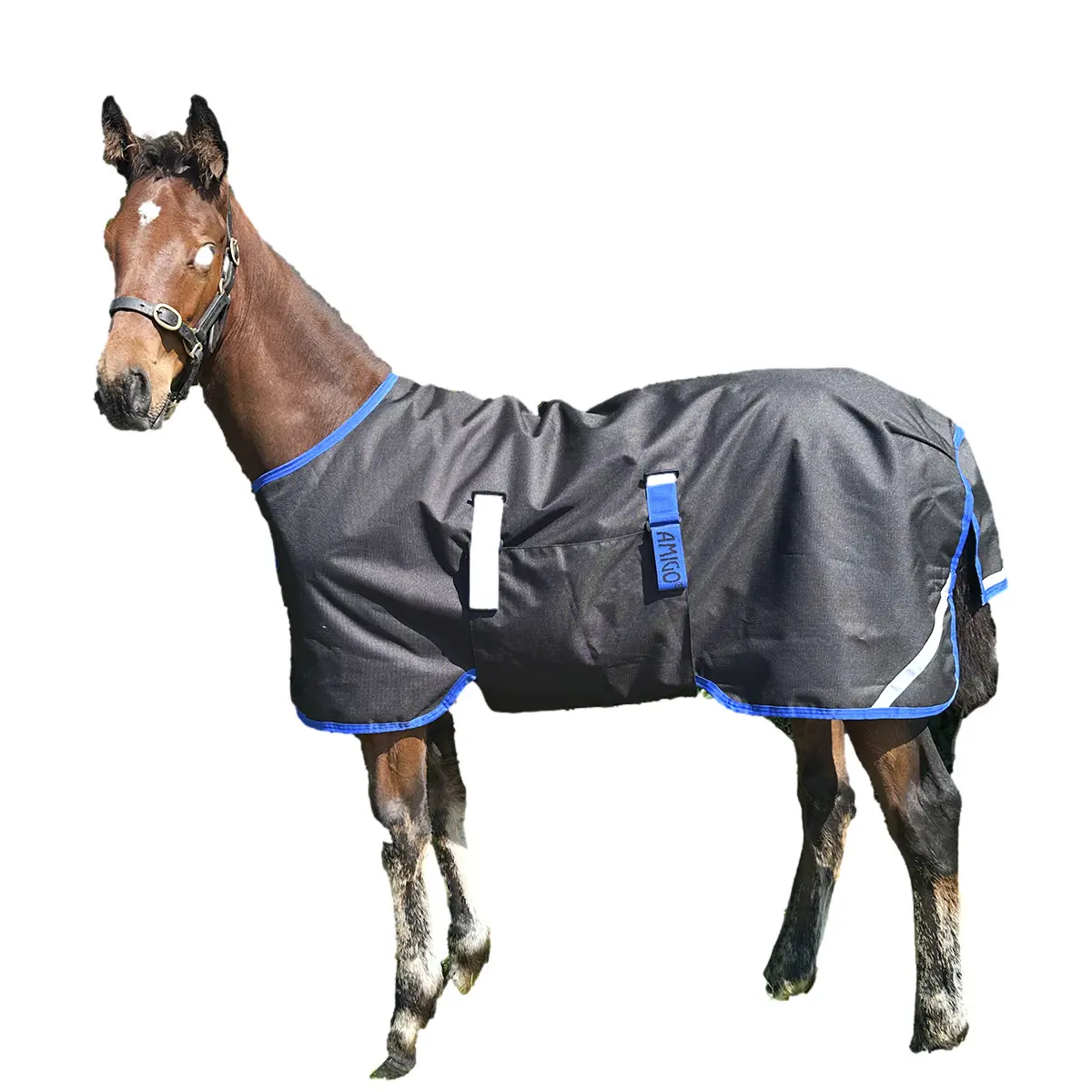 Meilleurs prix pour Couverture d'extérieur imperméable pour cheval Amigo Ripstop 900D Medium 200g