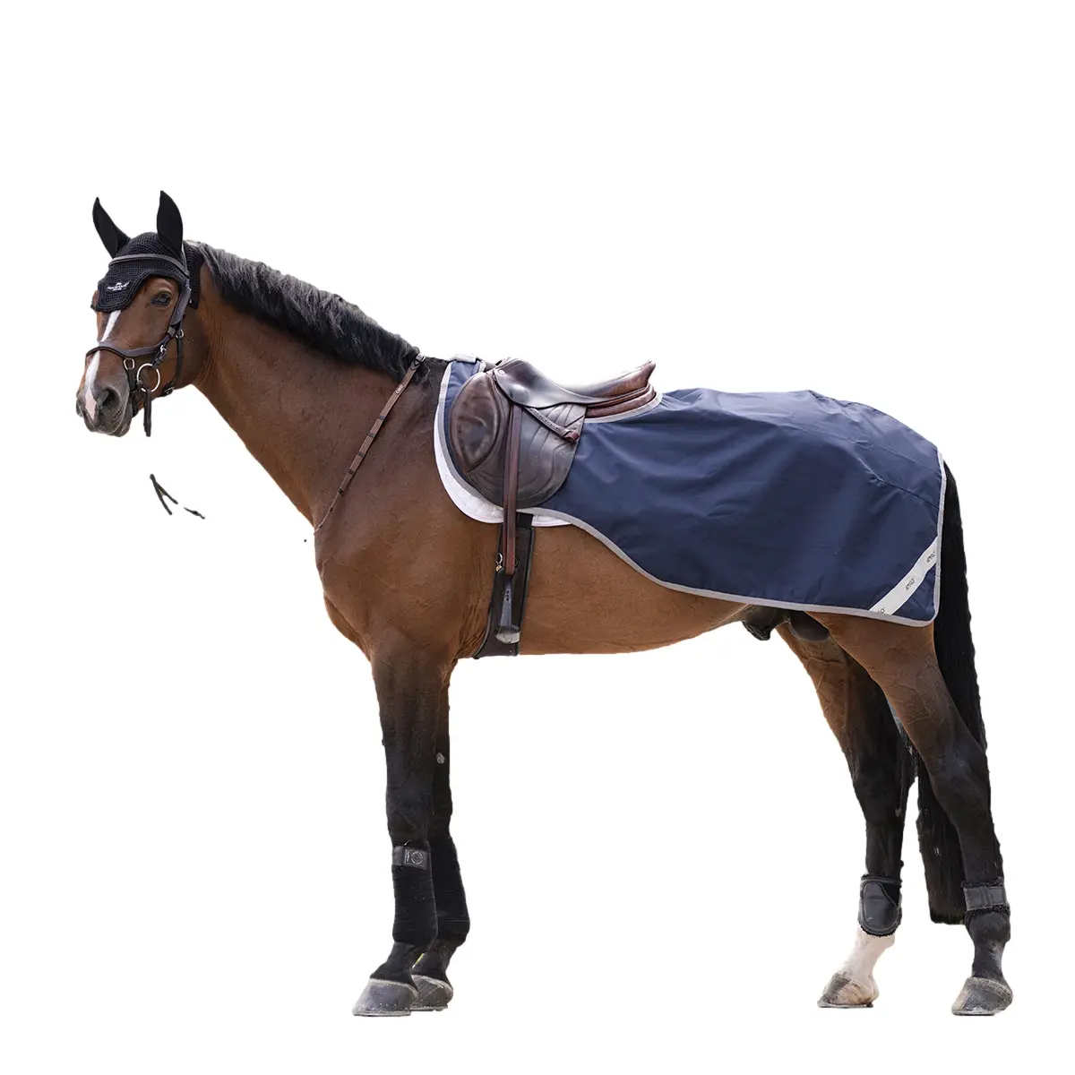 Meilleurs prix pour Couvre-reins pour cheval imperméable en polaire Amigo Ripstop