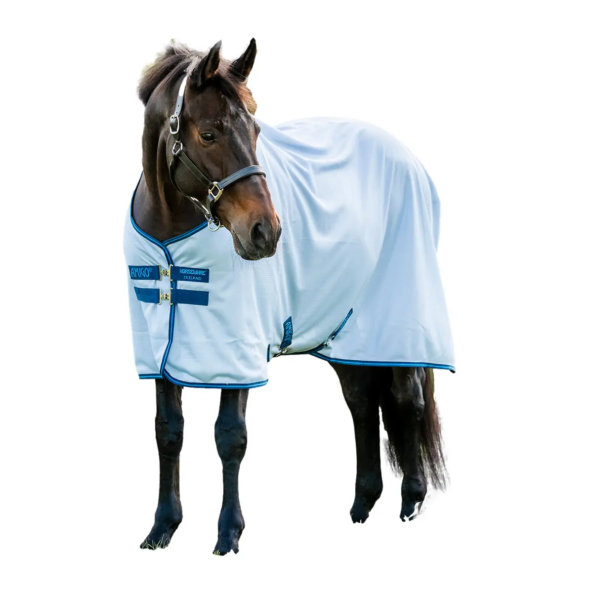 Meilleurs prix pour Couverture anti-mouches pour cheval Amigo Bug Rug