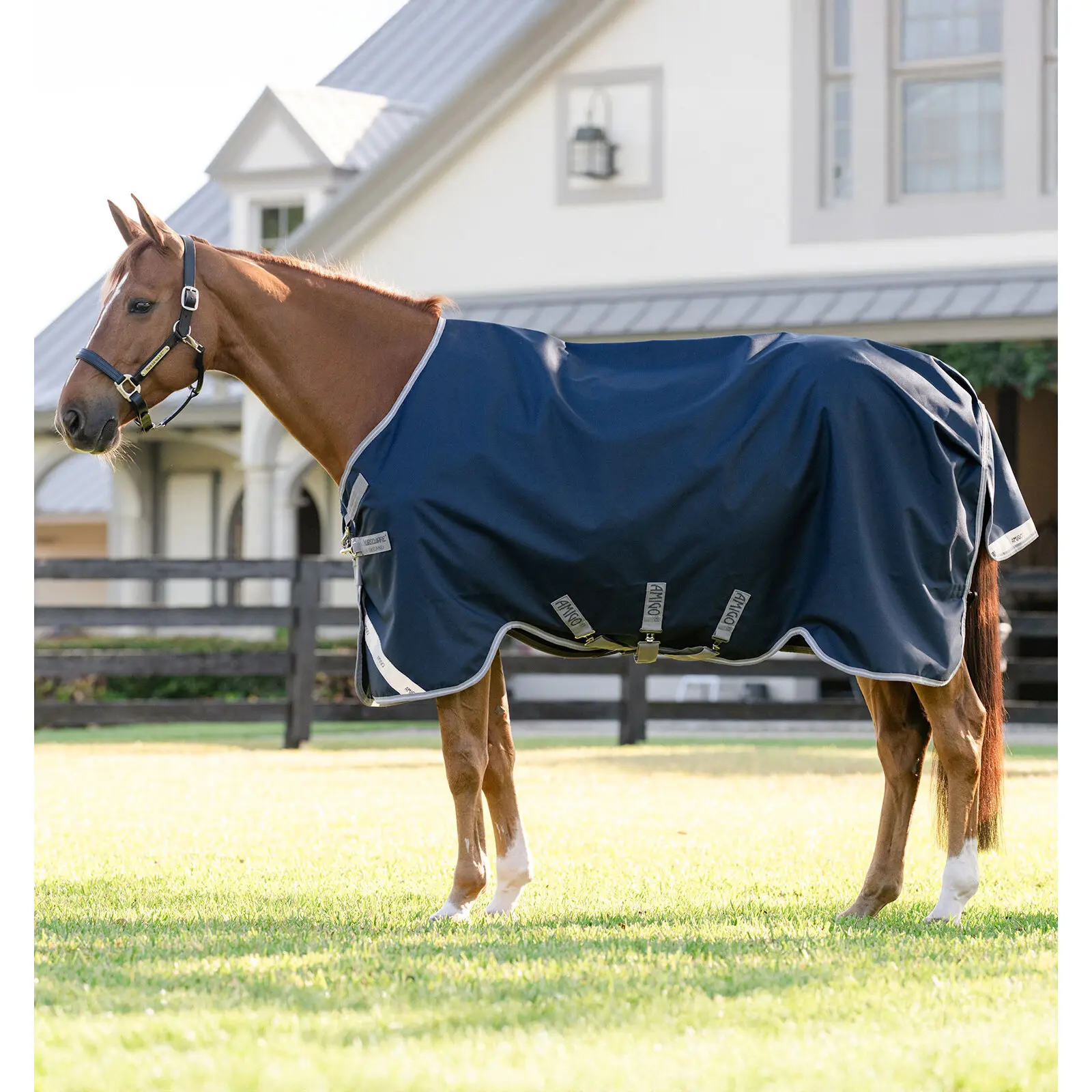 Couverture d'extérieur pour cheval Amigo 1200D 50g
