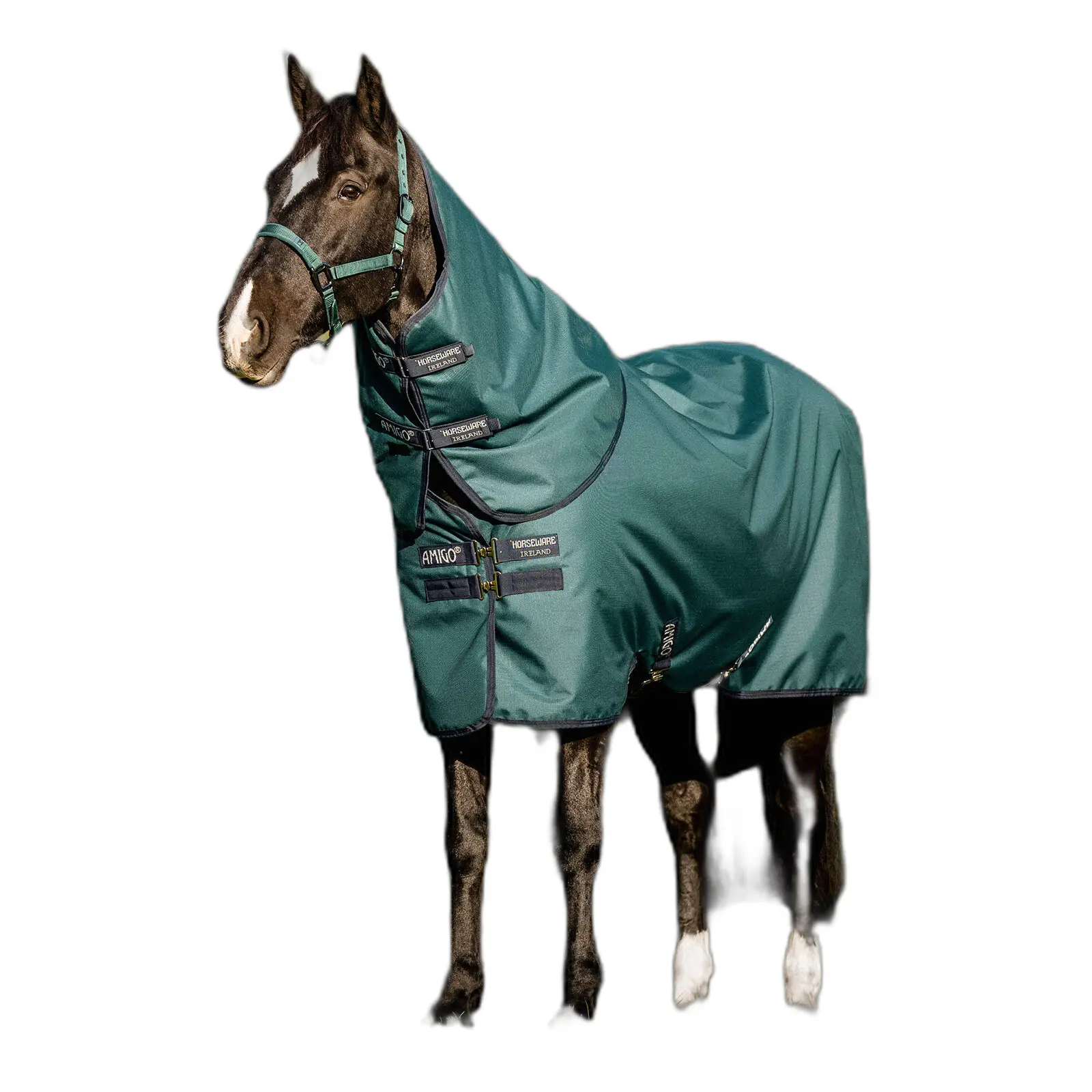 Couverture d'extérieur pour cheval pony Amigo 900D Plus 200g