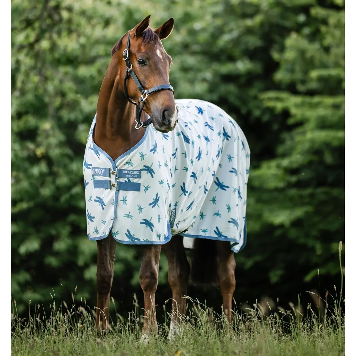 Couverture anti-mouches pour cheval Amigo Bug Rug
