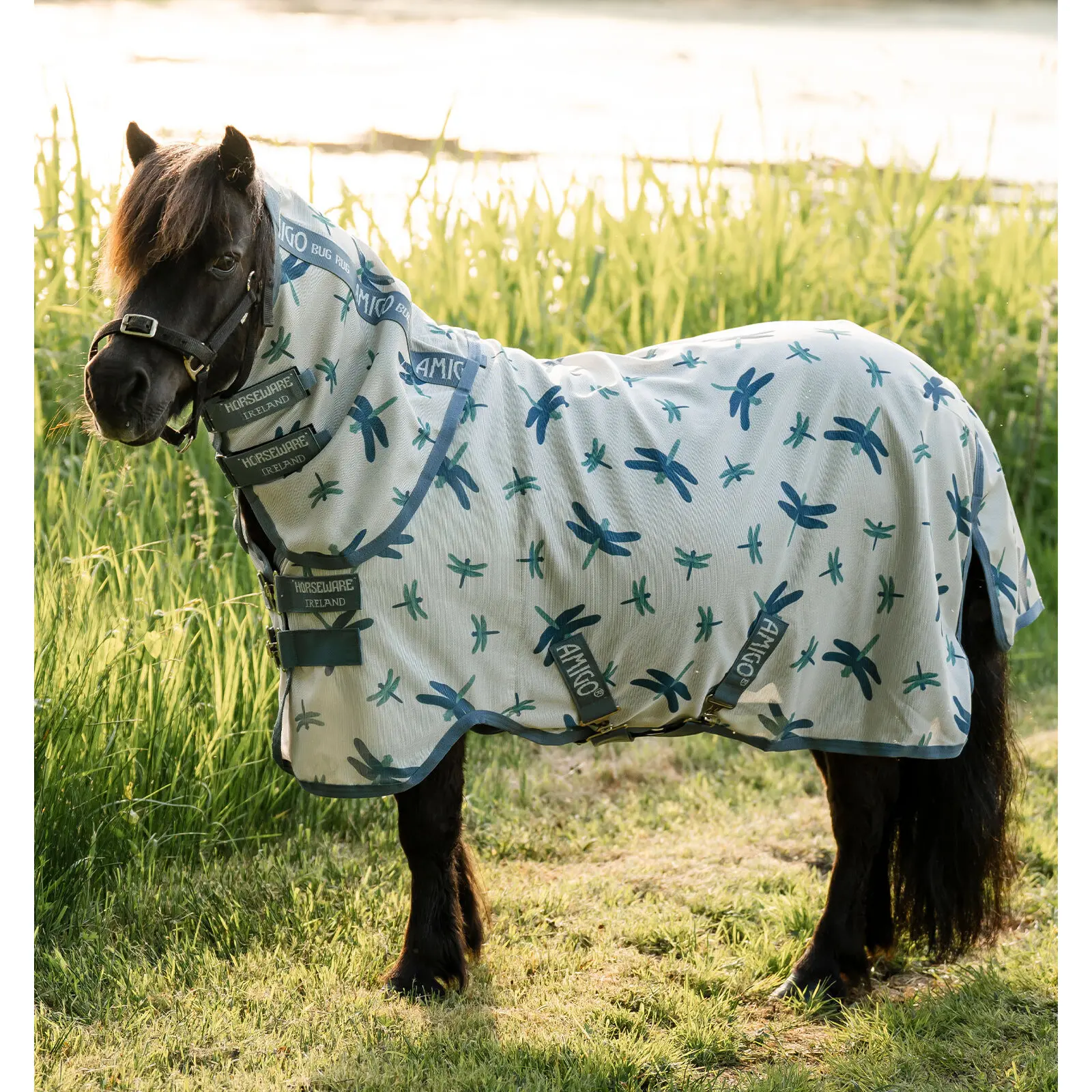 Couverture anti-mouches pour poney Amigo Bug Rug