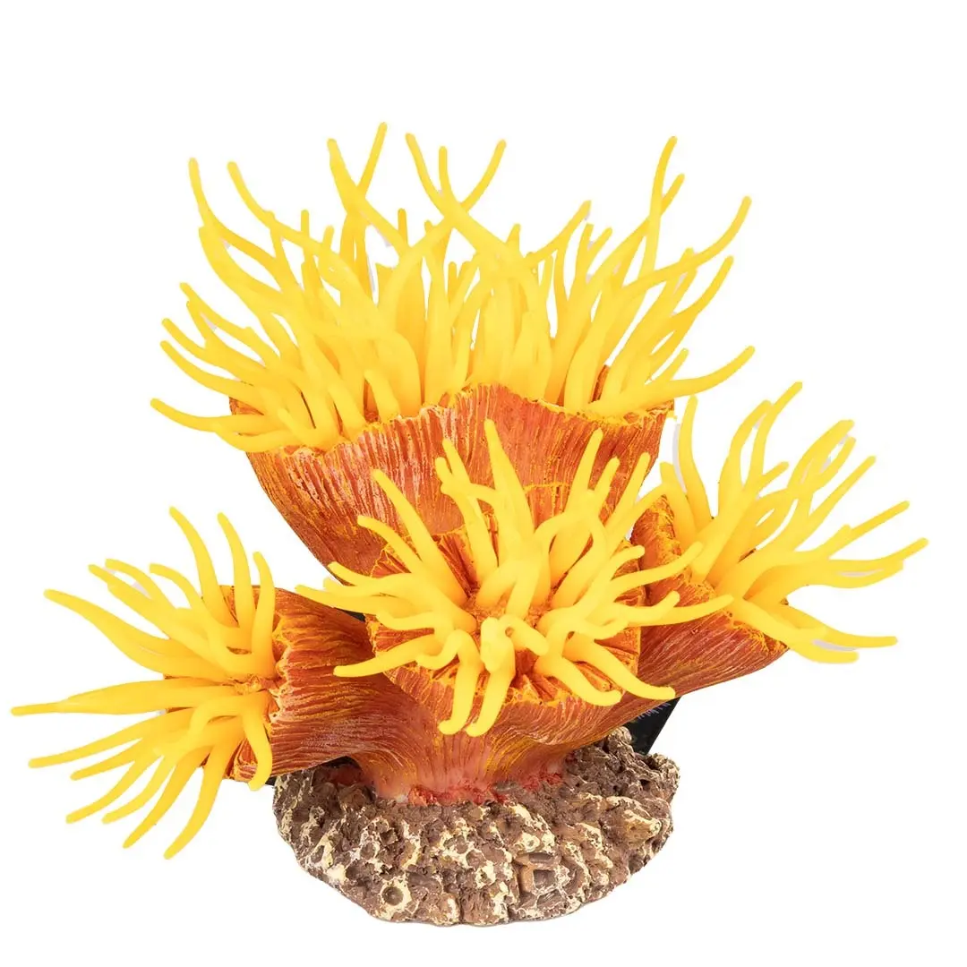 Meilleurs prix pour Décoration d'aquarium plante artificielle Aqua Della Euphyllia