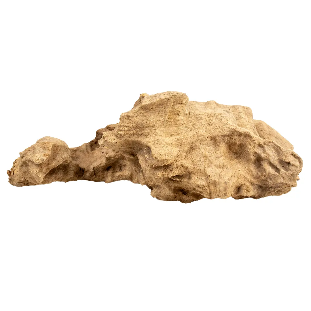 Comparer les prix de Décoration d'aquarium Aqua Della Bois Alvéolé