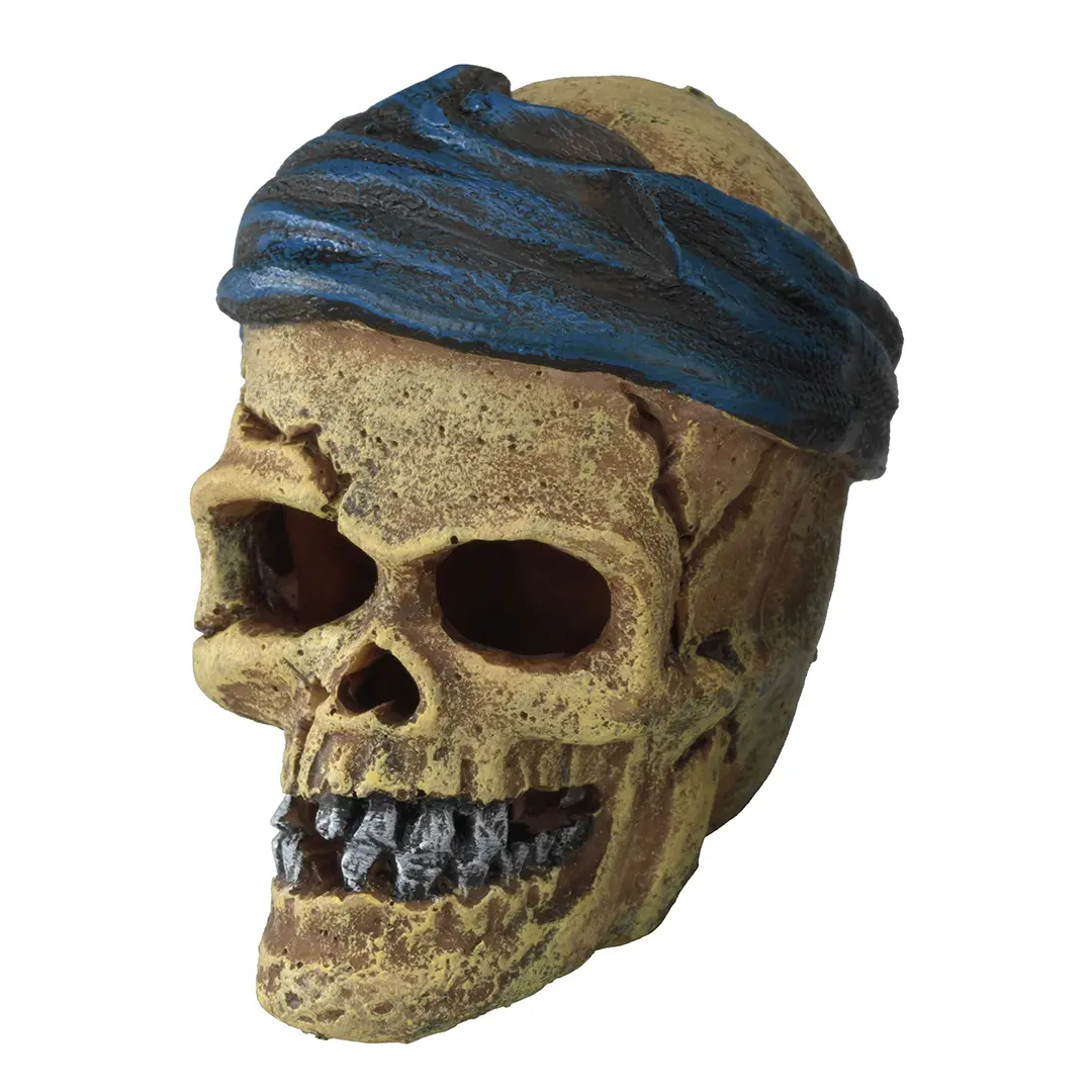 Aqua Della Doré Decorative Object Pirate Skull With Swords