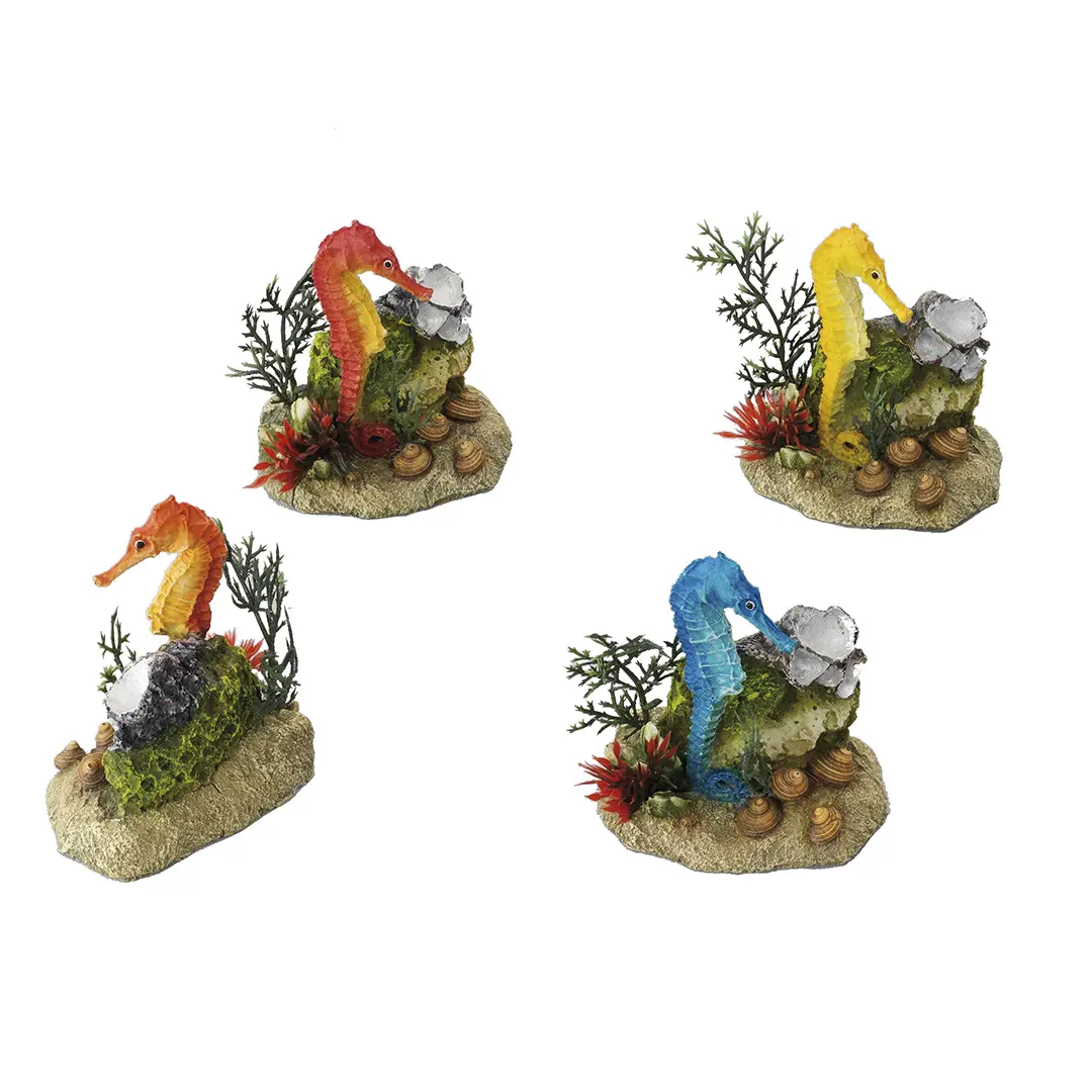 Meilleurs prix pour Cheval de mer avec plante Aqua Della