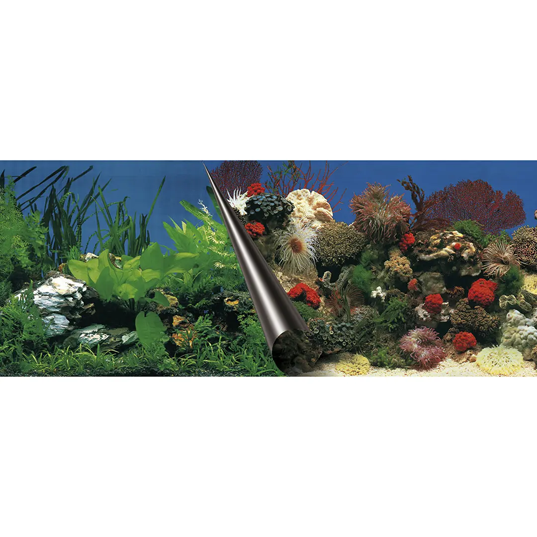 Aqua Della Multicolore Aquarium Background Poster Stone & Coral