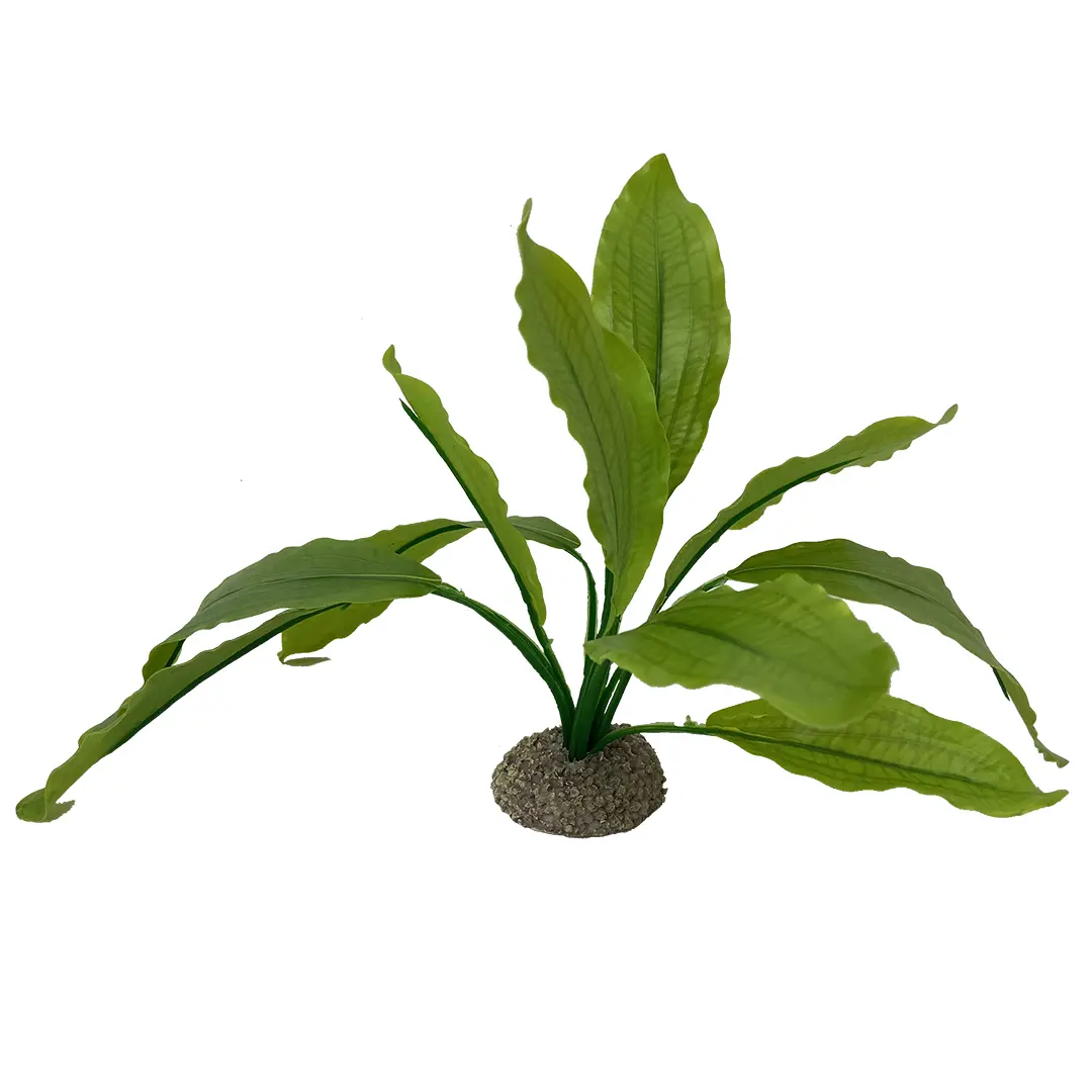 Comparer les prix de Décoration d’aquarium Aqua Della Echinodorus 2