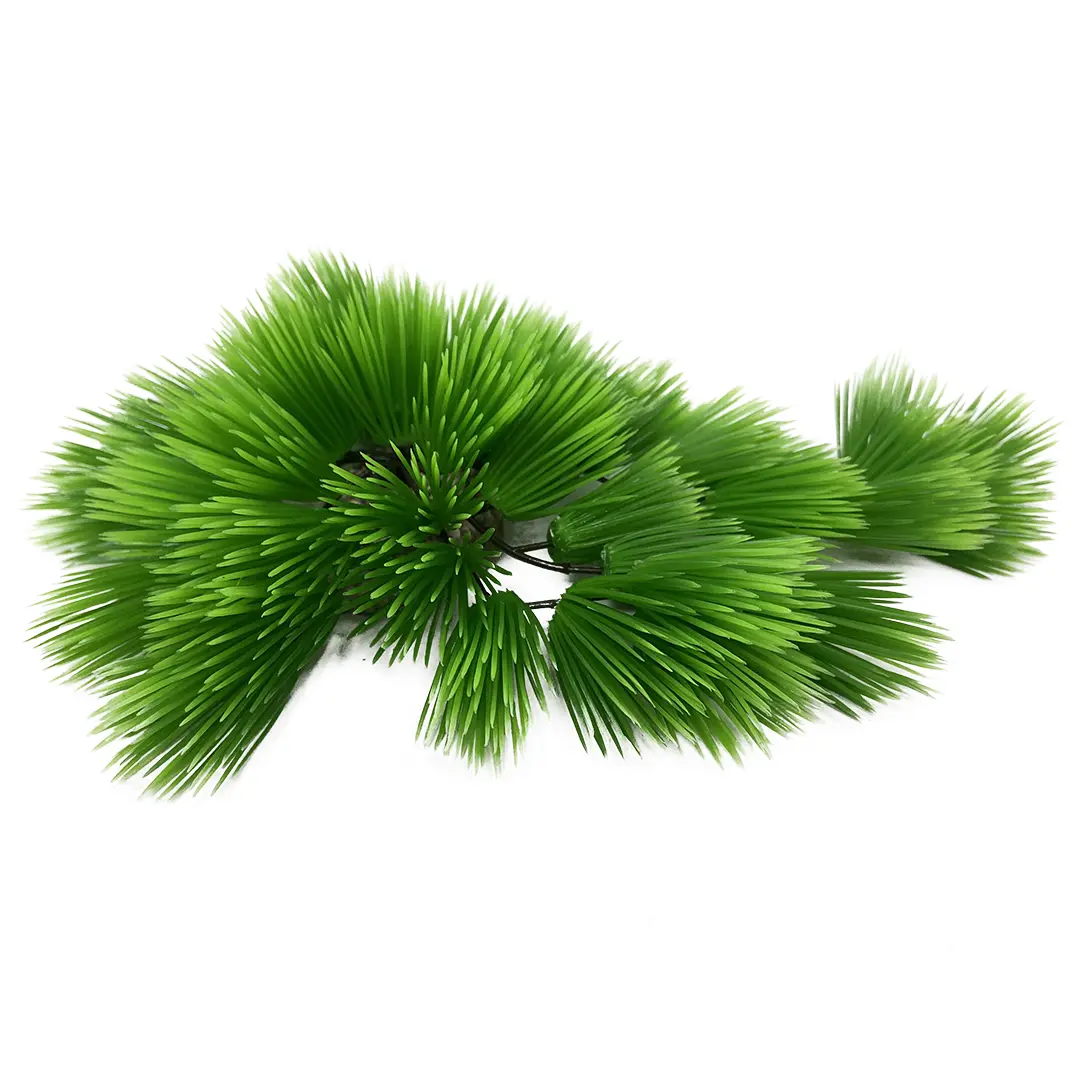 Meilleurs prix pour Décoration d’aquarium eleocharis Aqua Della