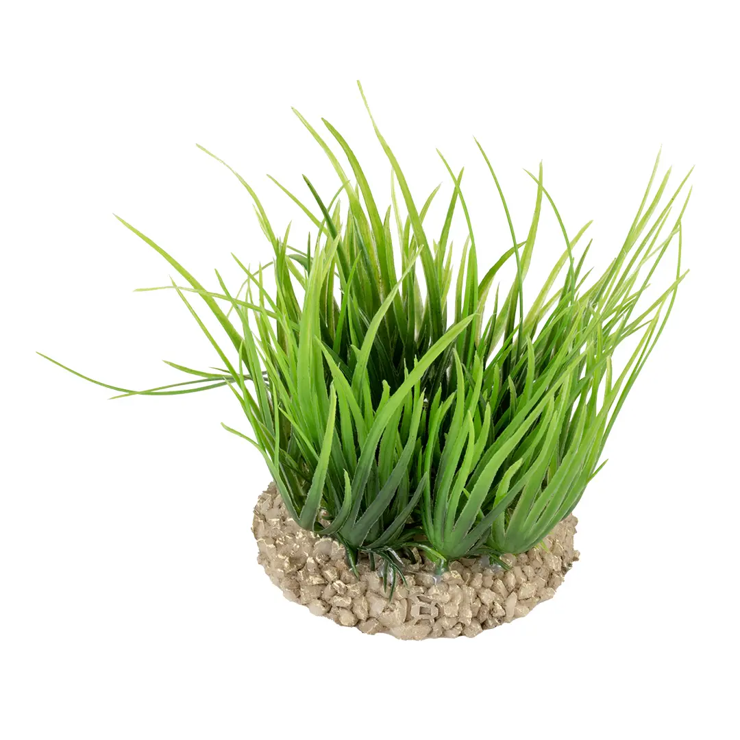 Comparer les prix de Décoration d’aquarium Aqua Della