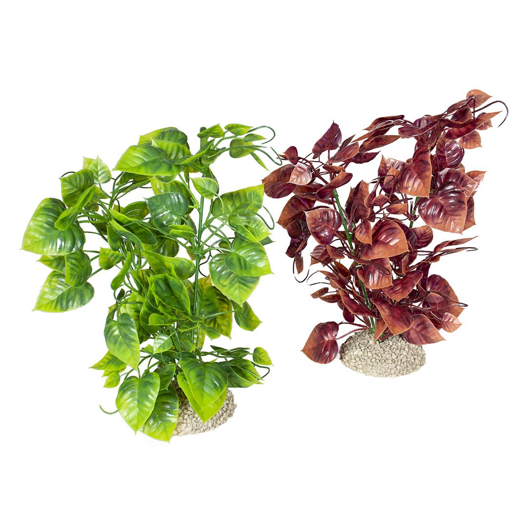 4047059458624 - Aquariumdekoration Pflanze Anubias Nana