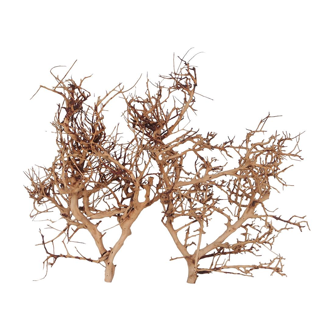 Comparer les prix de Décoration d’aquarium thailand branche Aqua Della