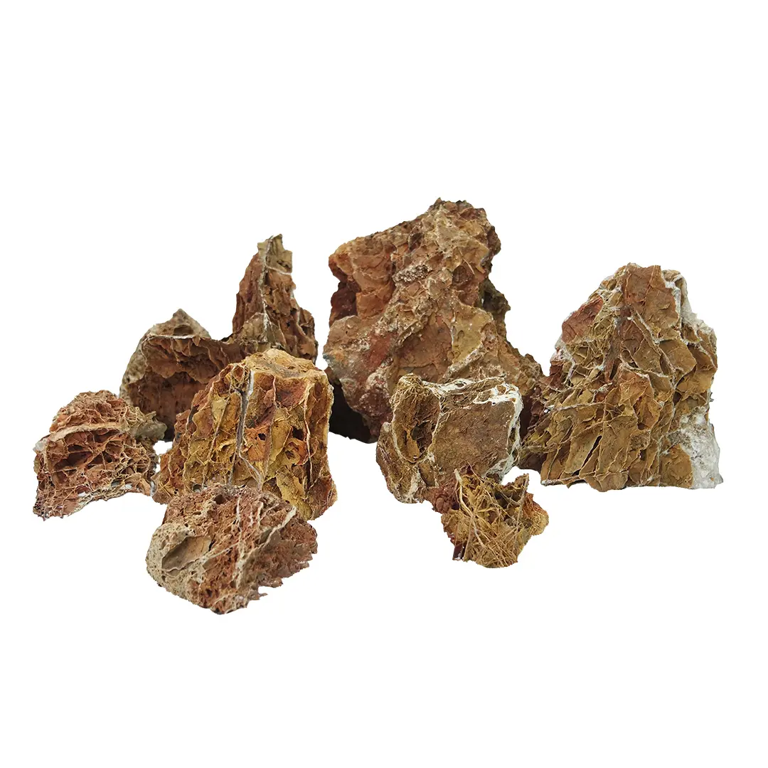 Meilleurs prix pour Décoration d’aquarium Aqua Della Scorro