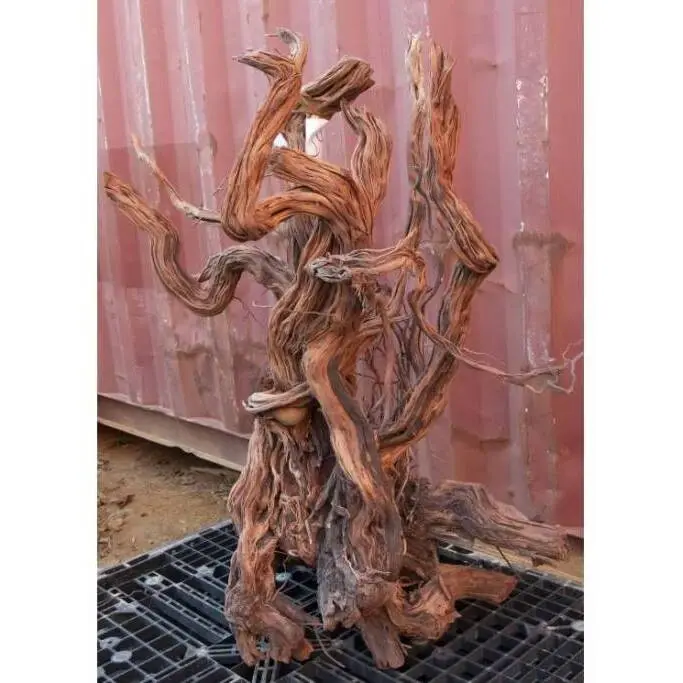 Comparer les prix de Décoration pour aquarium racine Aquavie Curlivigne Extra V3