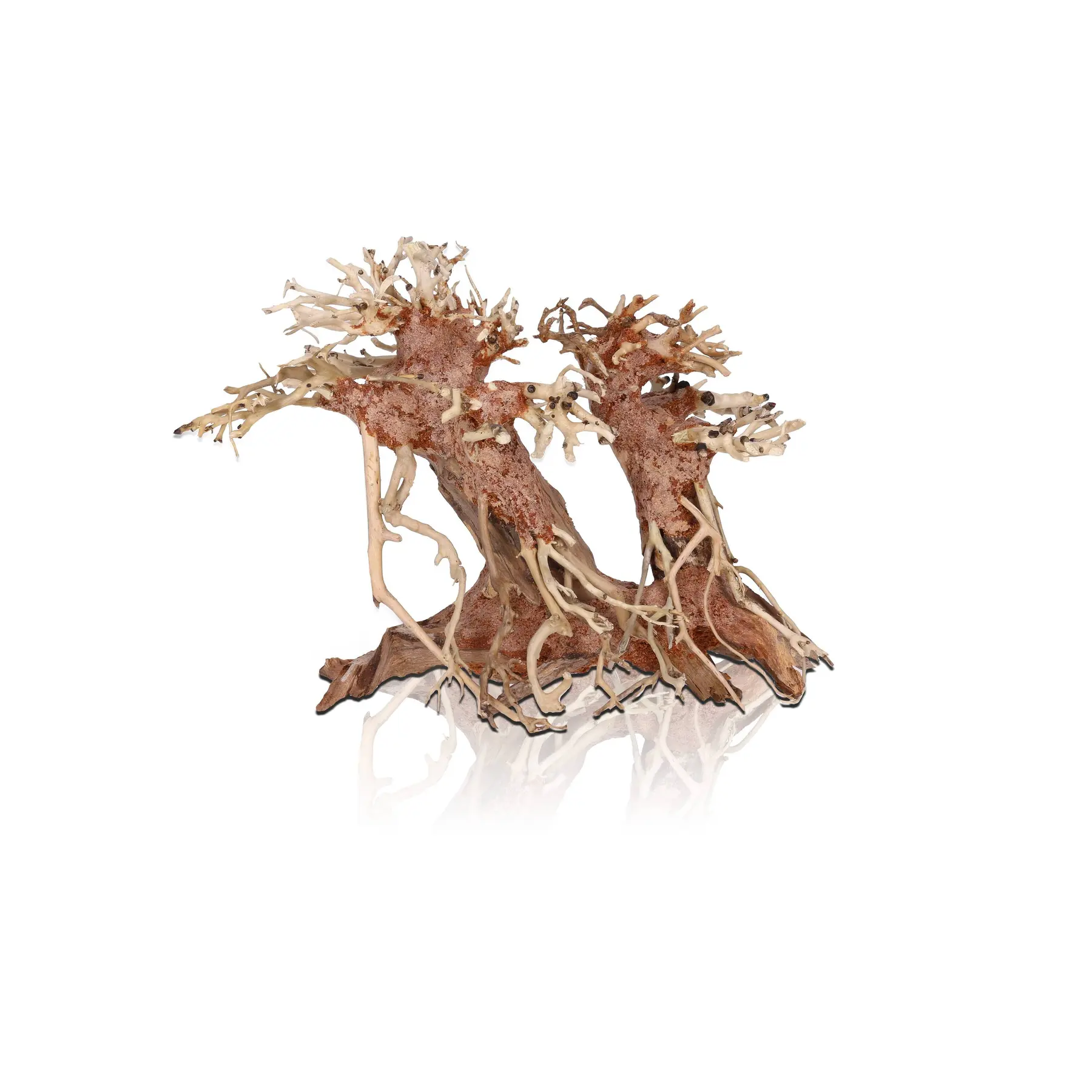 Meilleurs prix pour Décoration d’aquarium Aquavie Bonsai