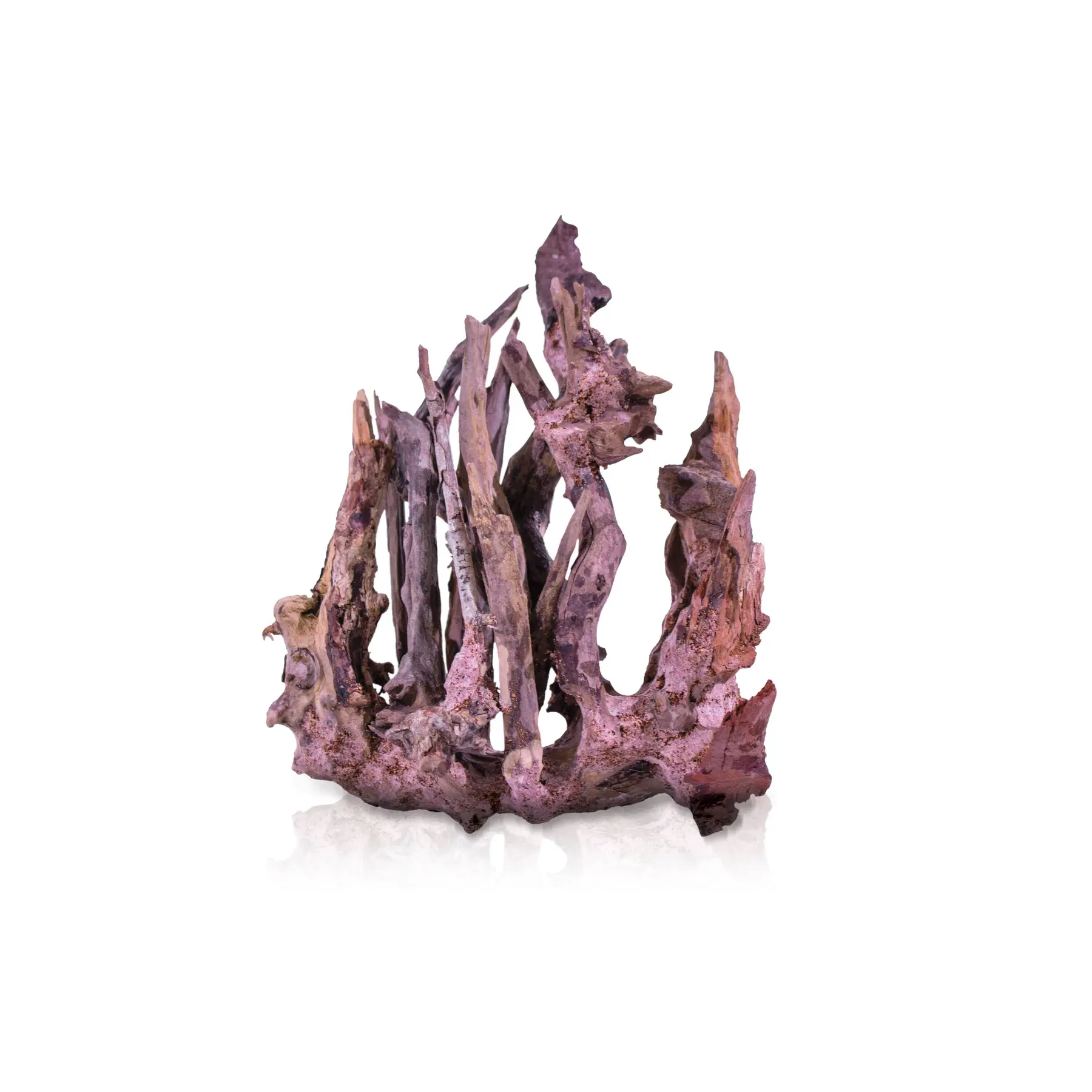 Comparer les prix de Accessoire pour aquarium Aquavie Forest Cry SM