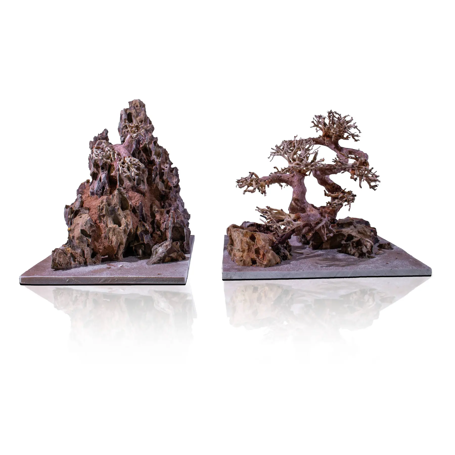 Comparer les prix de Paysage aquatique Aquavie Aquanatur Bonsaï