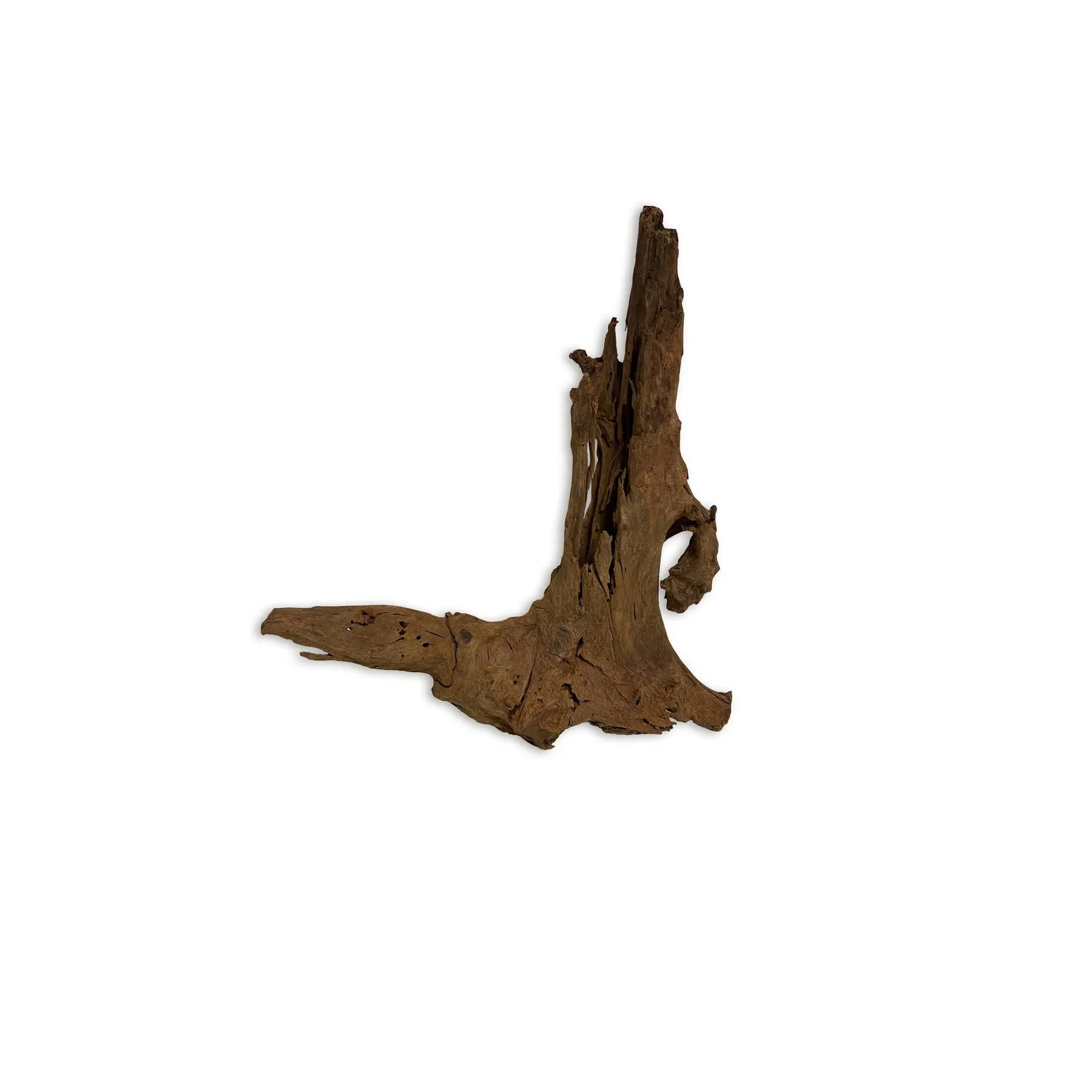 Meilleurs prix pour Décoration d’aquarium racine malaisie Aquavie