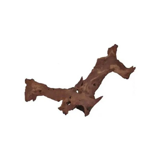 Comparer les prix de Décoration pour aquarium Aquavie Mopani Extra