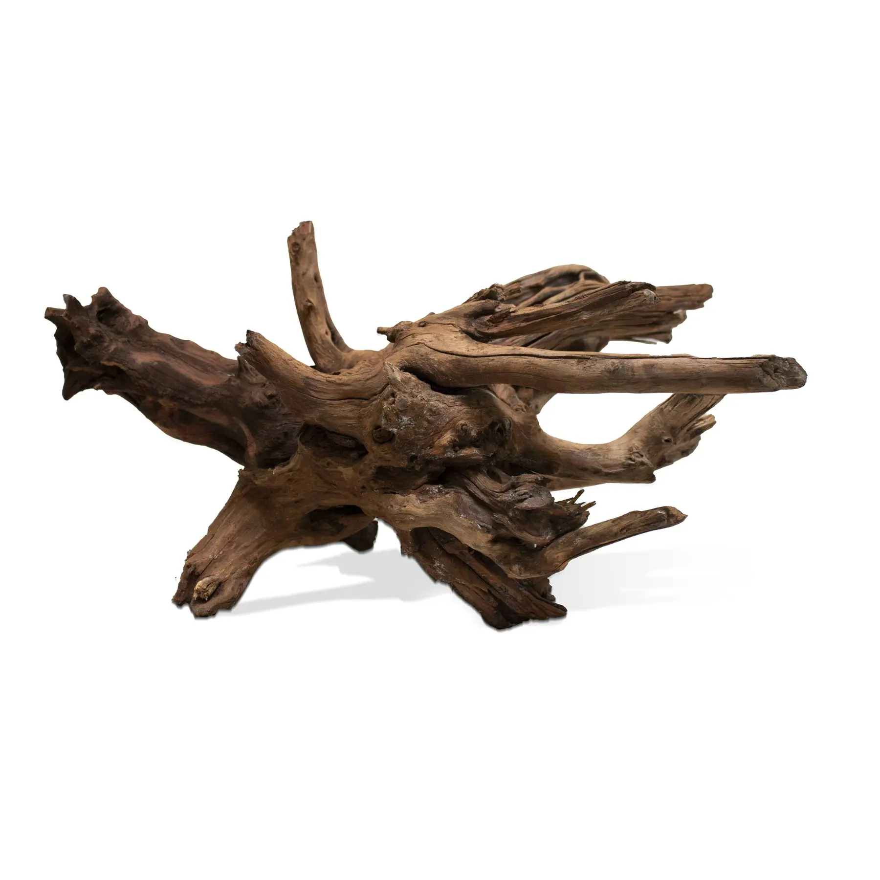 Comparer les prix de Décoration d’aquarium racine sinknatur Aquavie